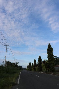 Yol kenarındaki yeşil ağaçların ve yaprakların gölgeli bulutların ve mavi gökyüzünün görüntüsü.
