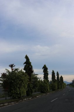 Yol kenarındaki yeşil ağaçların ve yaprakların gölgeli bulutların ve mavi gökyüzünün görüntüsü.