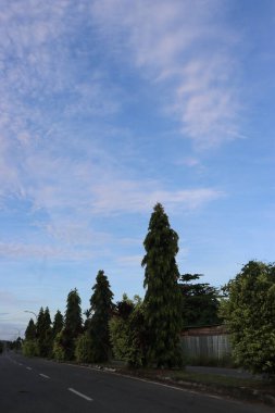 Yol kenarındaki yeşil ağaçların ve yaprakların gölgeli bulutların ve mavi gökyüzünün görüntüsü.