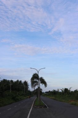 Yol kenarındaki yeşil ağaçların ve yaprakların gölgeli bulutların ve mavi gökyüzünün görüntüsü.