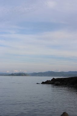 Sahil kenarındaki ağaçların resmi, sakin deniz, yeşil yapraklar, bulutlar ve mavi gökyüzü.