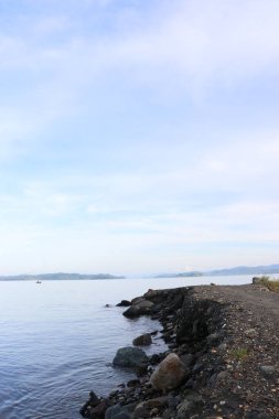 Sahil kenarındaki ağaçların resmi, sakin deniz, yeşil yapraklar, bulutlar ve mavi gökyüzü.