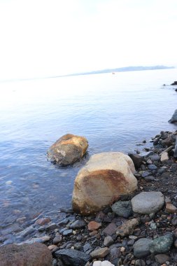 Sahil kenarındaki ağaçların resmi, sakin deniz, yeşil yapraklar, bulutlar ve mavi gökyüzü.