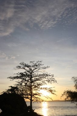 Öğleden sonra gün batımında deniz, sahil, bulutlar ve gökyüzü manzaralı ağaçların ve yaprakların görüntüsü.