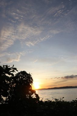 Gün batımında ağaçların ve yaprakların manzarası. Bulutların ve gökyüzünün güzel manzarası.