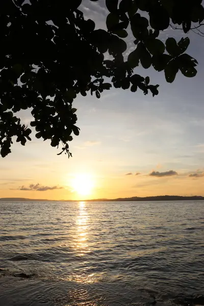 Öğleden sonra gün batımında deniz, sahil, bulutlar ve gökyüzü manzaralı ağaçların ve yaprakların görüntüsü.