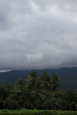 Sabahları ağaçlar, bulutlar ve sakin gökyüzü görünen dağların estetik görüntüsü.