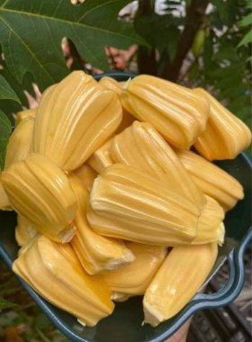 Lezzetli ve nefis kokulu meyveler.