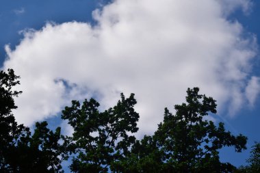 Mavi gökyüzü arkaplanındaki bulutlar