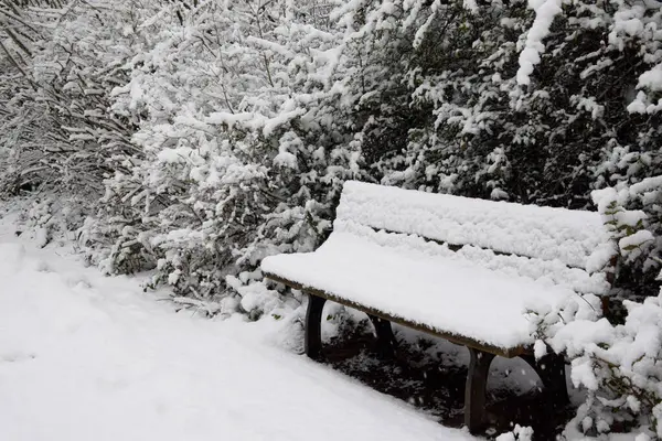 Kış manzarası karla kaplı bank