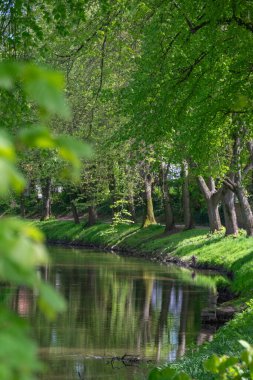Parkın güzel manzarası - nehir