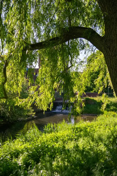 Parkta küçük bir nehir.