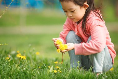 Küçük kızın parkta karahindiba topladığı, pembe kapüşonlu ve karahindiba çiçeklerini toplamak için çömeldiği yakın plan fotoğrafı.. 