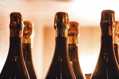 Şampanya şişelerinin koleksiyonu hizalanmıştır. Altın folyo kapakları zarafet ve şenliğin göstergesi olan sıcak ortam ışığı ile aydınlatılmıştır. Yakın çekim perspektifi beklentinin altını çizer
