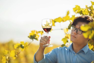 Asyalı düşünceli şarap garsonu, elinde bir kadeh kırmızı şarap tutuyor, şarabı analiz ediyor, renklerine göre değerlendiriyor, tortunun varlığına bakıyor, astrolojinin tadını inceliyor ve...