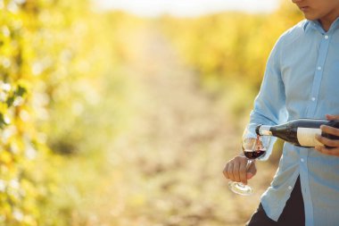 Meçhul şarap garsonu şarap şişesinden bardağa şarap dolduruyor üzüm fidanlığında, arka planda bulanık asmalar ve bedava fotokopi alanı var.
