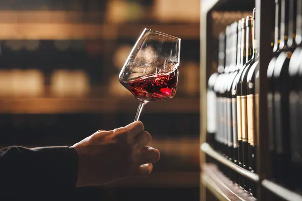 Sommelier kırmızı şarap kadehini yakından inceliyor, şarap mahzeninin çevresindeki renk ve berraklığı gözlemlemek için eğiyor. Arkaplanda profesyonel olduğunu gösteren şarap şişeleri dizileri yer alıyor