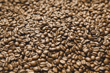 Mükemmel kavrulmuş Arabika kahve çekirdekleri, üst manzara. Fasulyeler yoğun, desenli bir şekilde sıralanmış, zengin kahverengi renklerini sergiliyorlar..