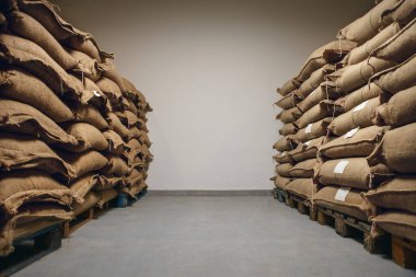 Depoya önden bakıldığında paletlerin üzerine yığılmış sayısız jüt kahve torbası bulunuyor. Kahve dağıtımı ve işleme için düzenli bir depolama ortamı sağlıyor..
