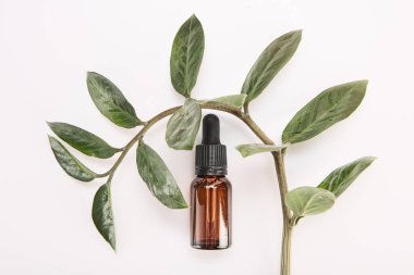 Kehribar cam damlatıcısı beyaz arka planda çiçek dalının içinde duruyor. Doğal organik kozmetik cilde önem verir. Güzellik tedavisi için pipetli serum şişesi. Uzayı kopyala Üst görünüm.