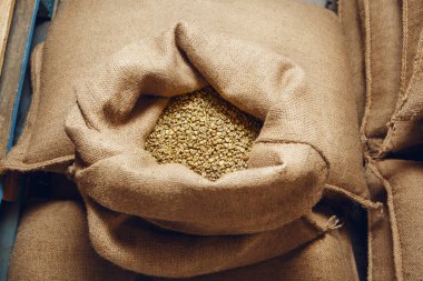 Taze yeşil kahve çekirdekli açık torba manzarası, kavrulmaya hazır.