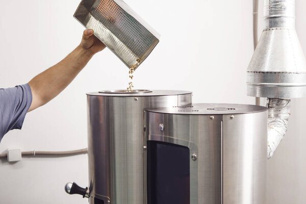 Professional roaster worker pours green coffee beans from metal scoop into large, stainless-steel roaster. Mass production of specialty segment coffee on an industrial scale. Coffee business concept.