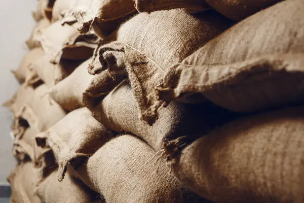 Bolca Etiyopya kahvesi ile dolu çuval çuvalları birbirine sıkıca depolanmış.