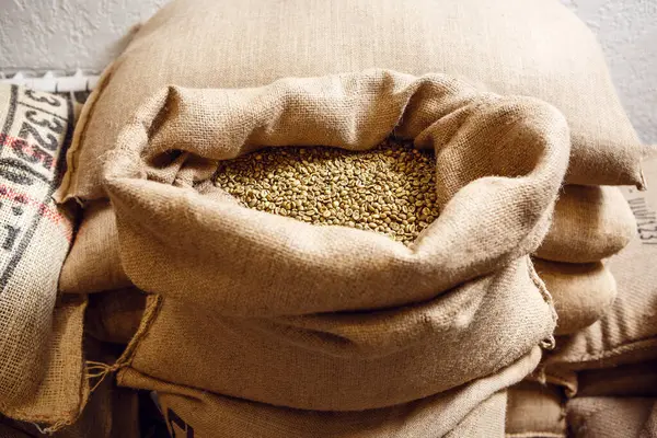 Açık bir kahve torbası, bir depodaki çuval bezi yığınının üstünde duruyor. İçindeki yeşil kahve çekirdeklerini gösteriyor..