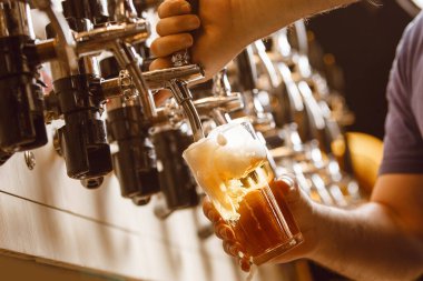 Barmen ustalıkla temiz bardağa taze bira dolduruyor, içini altın sıvı ve köpükle dolduruyor..