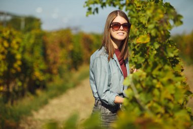 Young female sommelier standing in the middle of vineyard, carefully tending to the grapevines, focused on maintaining the health and growth of the plants under the clear blue sky.