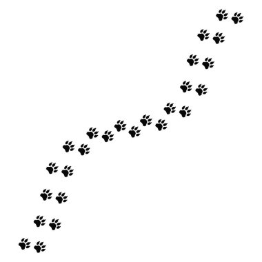 Paw Print Trail Illustration the Pet Paw Path Clipart Design
