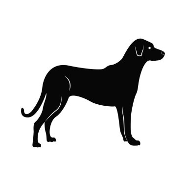 Siyah Labrador Köpek Silueti Vektör İllüstrasyonu