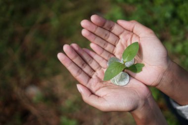 Büyümenin ve sürdürülebilirliğin sembolü olan bu resim, yeşil yatırımların sürdürülebilir bir gelecek için önemini sembolize eden, bozuk paradan gelişen bir bitkiyi gösteriyor..