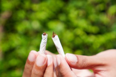 Sigara içilmeyen, sigara içilmeyen, sigaraya karşı verilen mücadeleyi ve sigarasız bir geleceğe olan bağlılığı sembolize eden, bir elin bu etkili görüntüsüyle değişimi güçlendir. Dünya 'da Tütün Yok Günü' nü kutluyoruz