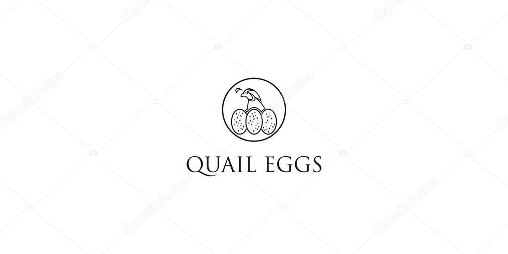 Creative quail eggs logo design with unique concept