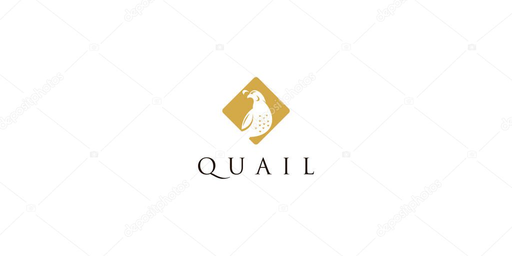 Creative quail bird logo design with unique concept