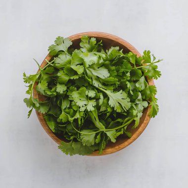 Ayrıntılı Kapalı Taze Cilantro Yiyecek Hazırlama ve Sağlıklı Tabaklar İçin Yapraklar