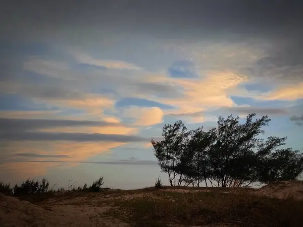 Rüzgarla eğilmiş ağaçlarla ve renkli bir akşam gökyüzüyle manzara, hafiflik ve doğal huzuru çağrıştırıyor..