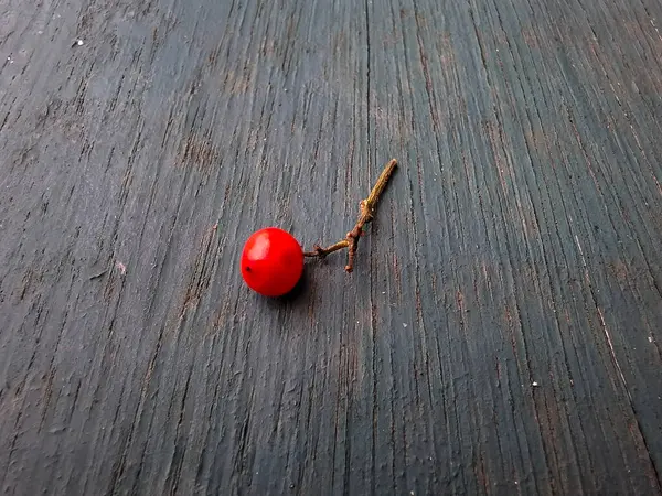 Kırsal mavi ahşabın üzerinde tek başına duran küçük kırmızı bir dut, kontrastı ve minimalizmi vurguluyor..