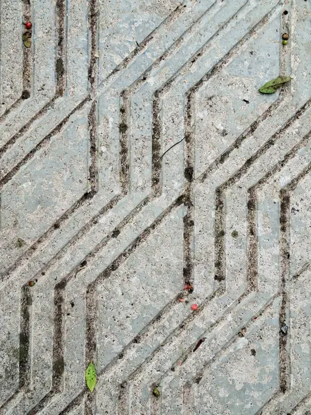 Geometrik çizgilerle kentsel asfalt dokusu ve dağınık yapraklar ve böğürtlenler, doğa ve yapı arasında bir karşıtlık yaratır..