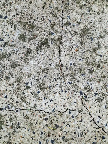 Çatlamış beton zeminin yosun ile detayları, zamanın kentsel doku üzerindeki etkilerini gösteriyor.