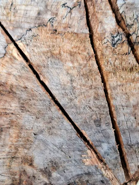 Koyu damarları ve eşsiz doğal desenleri olan ahşap bir yüzeyin yakın çekimi ham ve organik güzelliği yakalar..