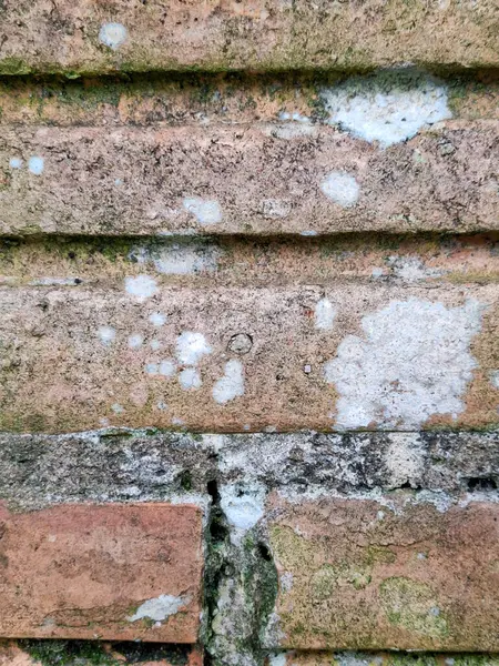 Kalıplı tuğla duvar dokusu, liken lekeleri ve aşınmış çürüme izleri. Kırsal ve doğal arka planlar için mükemmel..