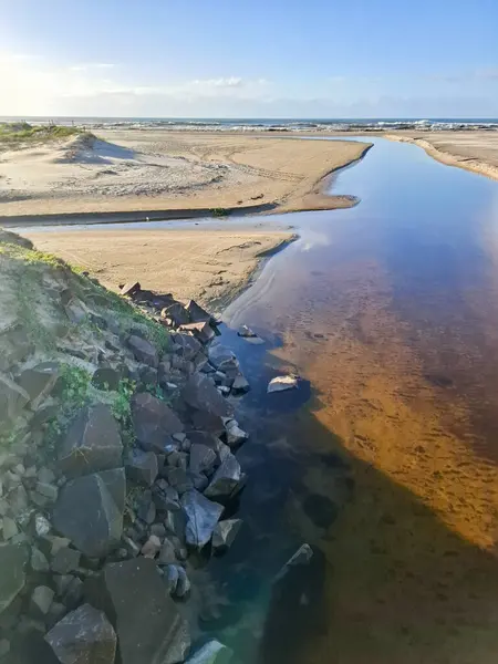 Nehir kumların arasından süzülerek sabah güneşinin altında denizle buluşur..