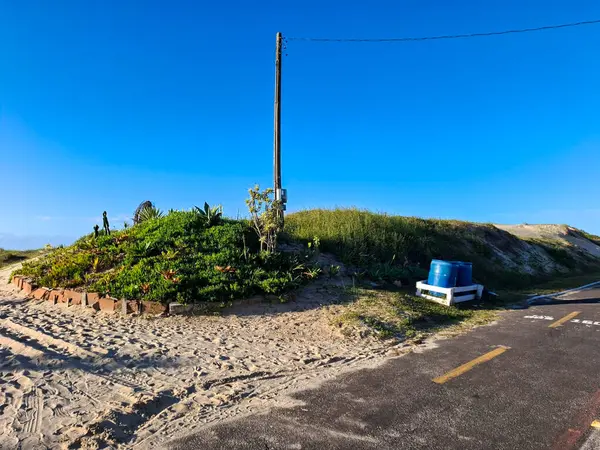 Sahil bahçesi, yerel bitkiler, doğaçlama çöp bidonları ve mavi gökyüzünün altında asfalt bir yol. Sahilde tipik bir korunma ve kentsel yaşam sahnesi..