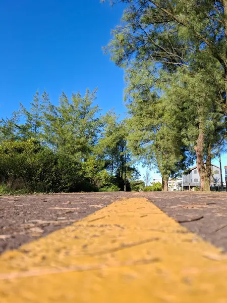 Güneşli bir sabahta, bitki ve ağaçlarla çevrili merkezi sarı çizgili asfalt bir patika..