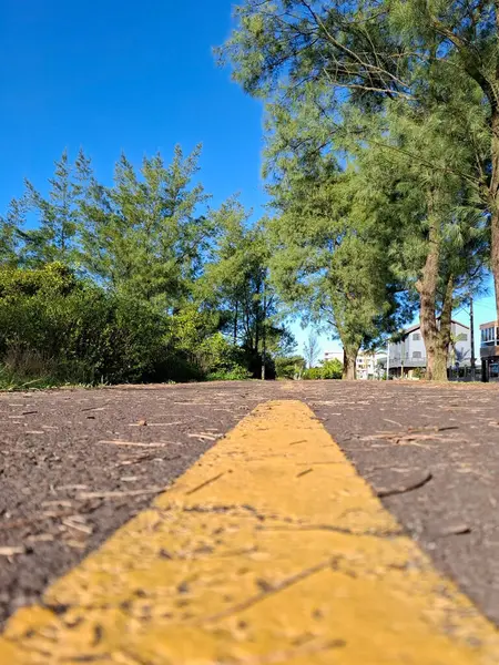 Ağaçlarla ve yeşilliklerle çevrili, güneşli mavi bir gökyüzünün altında sarı çizgili bir bisiklet yolu..