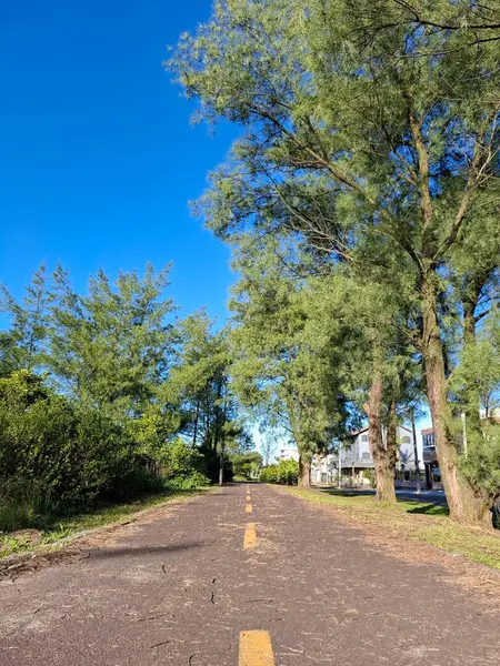 # Sarı çizgili asfalt bir yol # # Etrafı uzun ağaçlarla çevrili # # Canlı mavi gökyüzünün altında #.