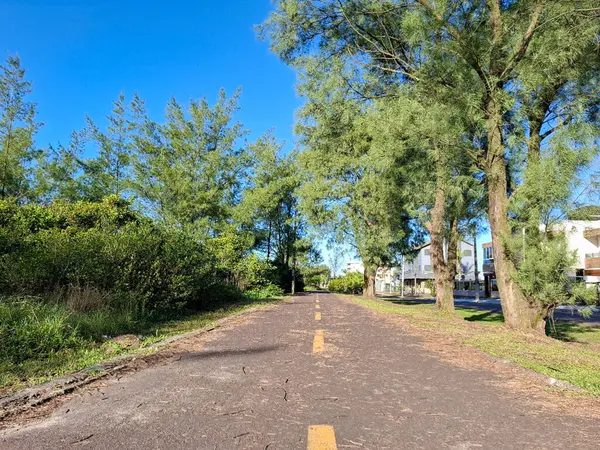 Huzurlu bisiklet yolu ağaçlar ve yeşilliklerle kaplı, arka planda evler ve yerleşim yerlerinde parlak mavi bir gökyüzü..