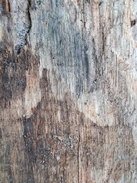 Doğal tonlar, ince çatlaklar ve zaman izleri ile yaşlanmış ahşap yüzey yakın çekim.